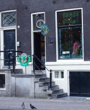Amsterdam travelogue picture