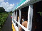 View from a bus