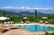The view from the pool