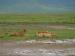 Arusha travelogue picture