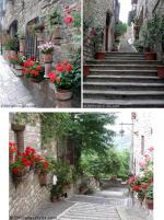 Assisi travelogue picture