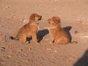 Aswan travelogue picture