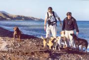 running with the skeelos on Santorini running with the skeelos on Santorini