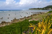 The beach in Avarua