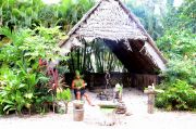 Rarotongan village