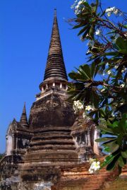 Ayutthaya travelogue picture