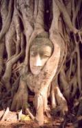 Ayutthaya travelogue picture