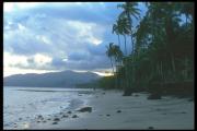 Beach By The Sheraton