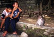 Monkey Park