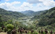 Banaue Rice Terraces