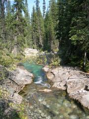 Mentioned earlier...deep green pools off the beaten track Mentioned earlier...deep green pools off the beaten track