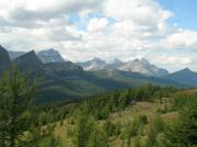 View from Healy's Pass