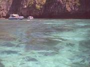 snorkeling in Pipi island