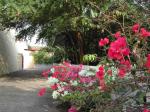 Bangkok travelogue picture