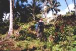 Baracoa travelogue picture