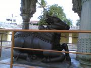 Near By Temples are sites to see Near By Temples are sites to see