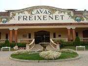 Cavas Freixenet