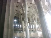 Forest of Columns