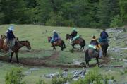 Horseback riding