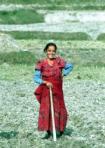 Bhaktapur travelogue picture