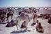 Bilma travelogue picture
