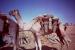 Bilma travelogue picture