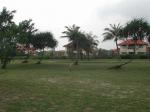 Bintang travelogue picture