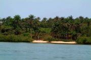 One of the small Bijagos islands One of the small Bijagos islands