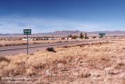 Road to Rachel Nevada