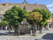 Sentendre market square