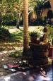 Cahuita travelogue picture