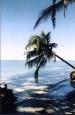 Cahuita travelogue picture