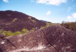 Cairns travelogue picture
