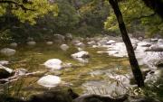 Mossman Gorge