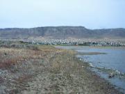 From Lake Argentina looking at Calafate