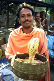Snake Charmer