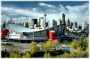 The Saddledome in Calgary The Saddledome in Calgary