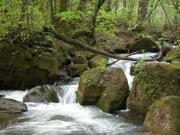 A River near the Canyon
