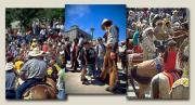 Stampede