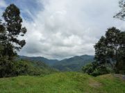 Undulating Highlands