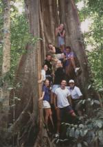Cape Tribulation travelogue picture