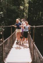 Cape Tribulation travelogue picture