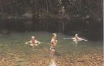 Cape Tribulation travelogue picture