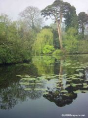 Altamount lake in winter