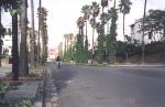 Casablanca travelogue picture