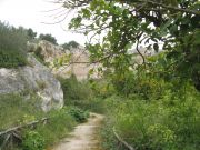 In the Paradise Quarries, Siracusa