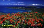 Magens Bay