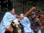 Giant Panda Group Shot