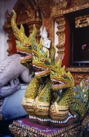 Wat guardians