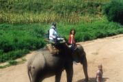 No trip is complete without an elephant trek